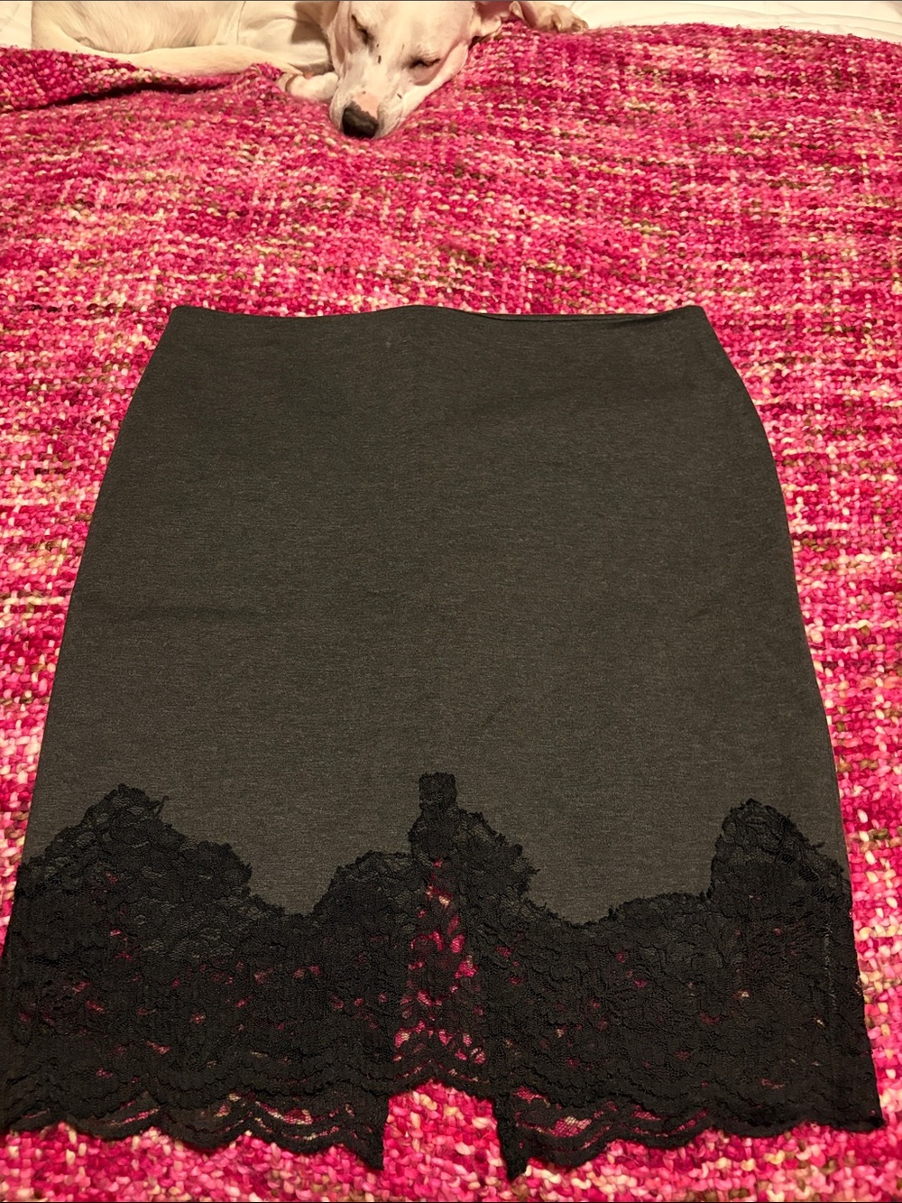 Vince Camuto skirt Charcoal Pencil Skirt with Black Lace Trim; stretchy